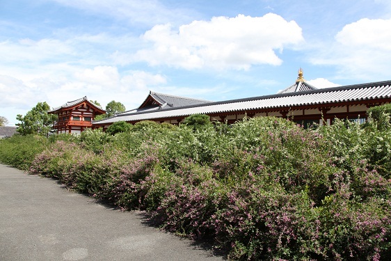 2011 薬師寺と萩１ 155.JPG